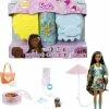 Barbie Color Reveal Sunshine And Sprinkles Doll And Accessories